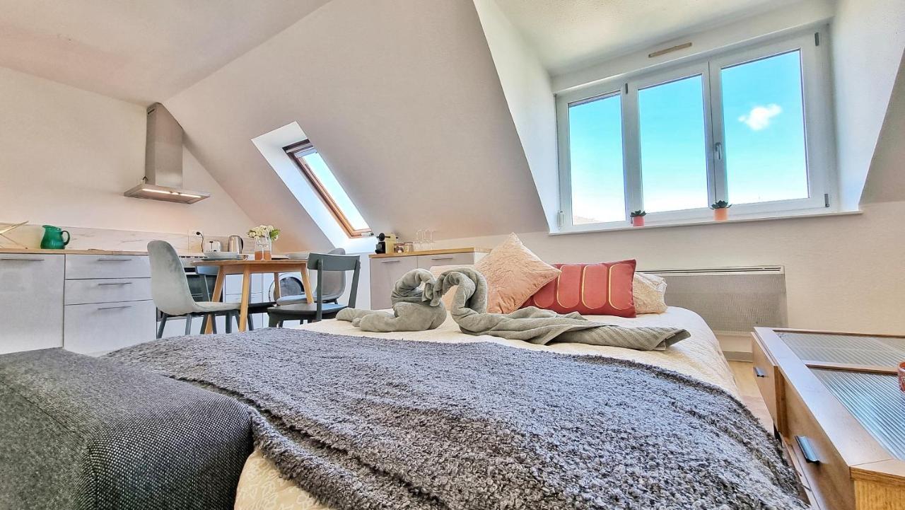 Colmar Mon Amour-Chic-Garage-Fibre-Rbnb المظهر الخارجي الصورة